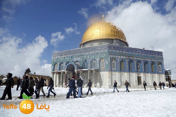 snow yaffa guys (7).JPG